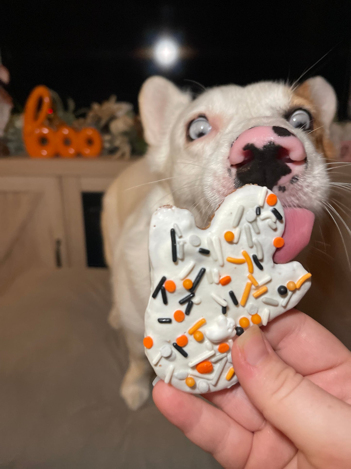 Decorated Cookies