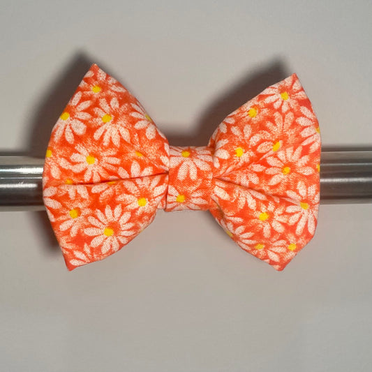 Orange Daisies Collar Bow
