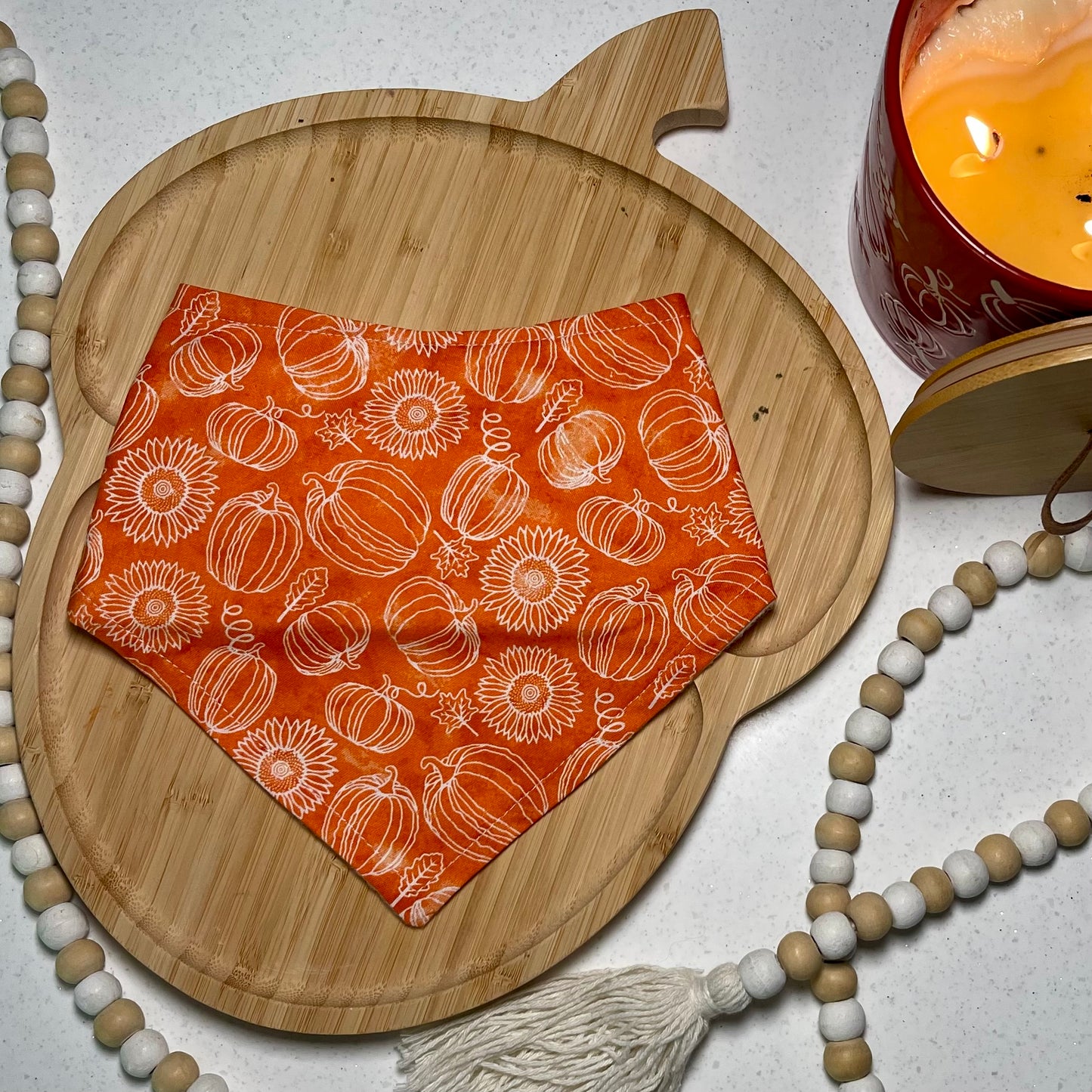 Pumpkin & Sunflower Doodle Bandana