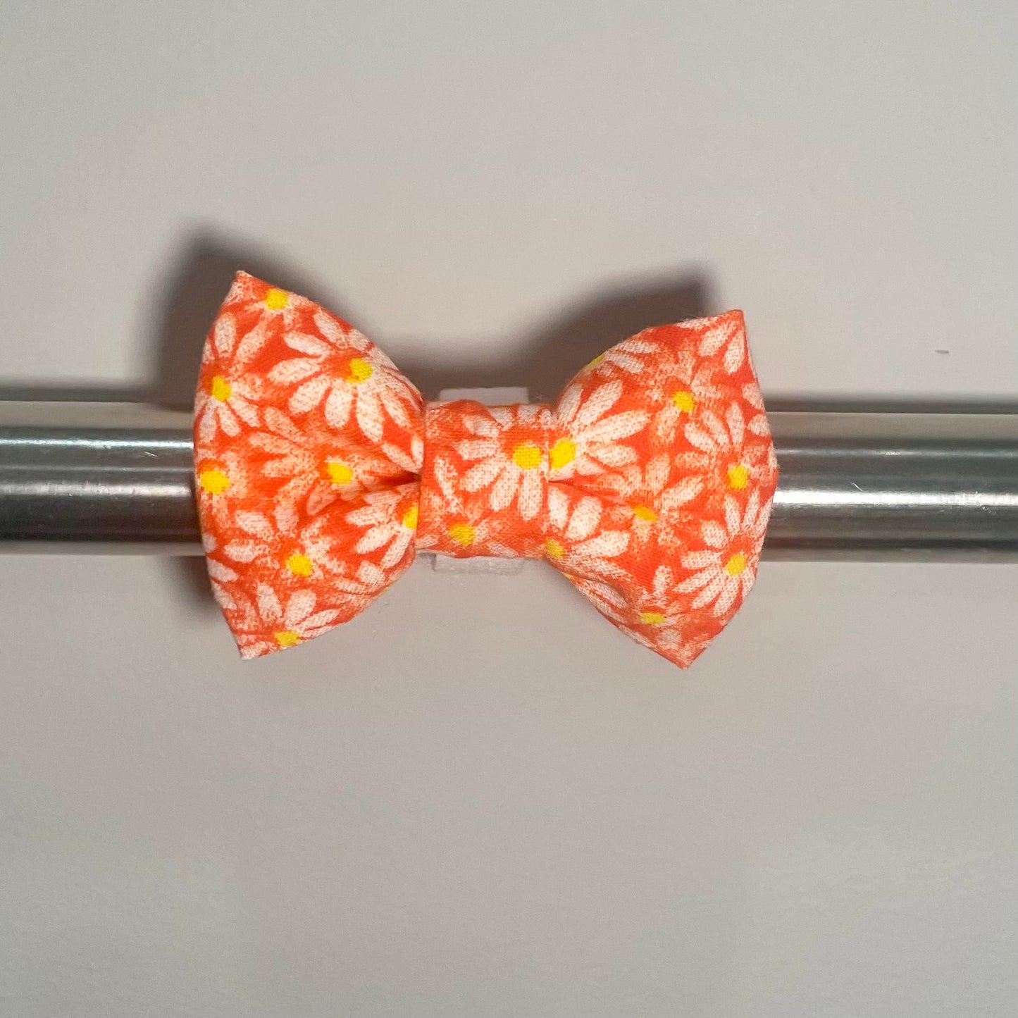 Orange Daisies Collar Bow