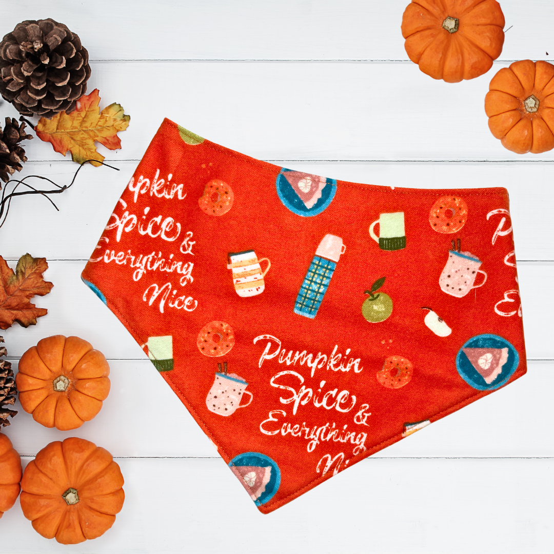 Pumpkin Spice Bandana
