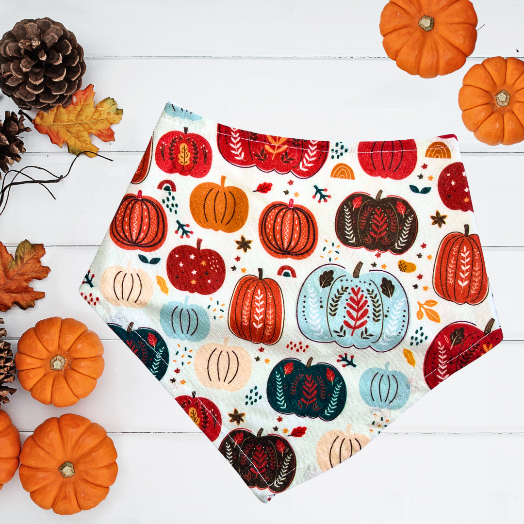 Boho Pumpkins Bandana