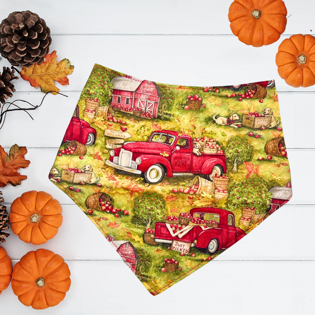 Apple Trucks Bandana