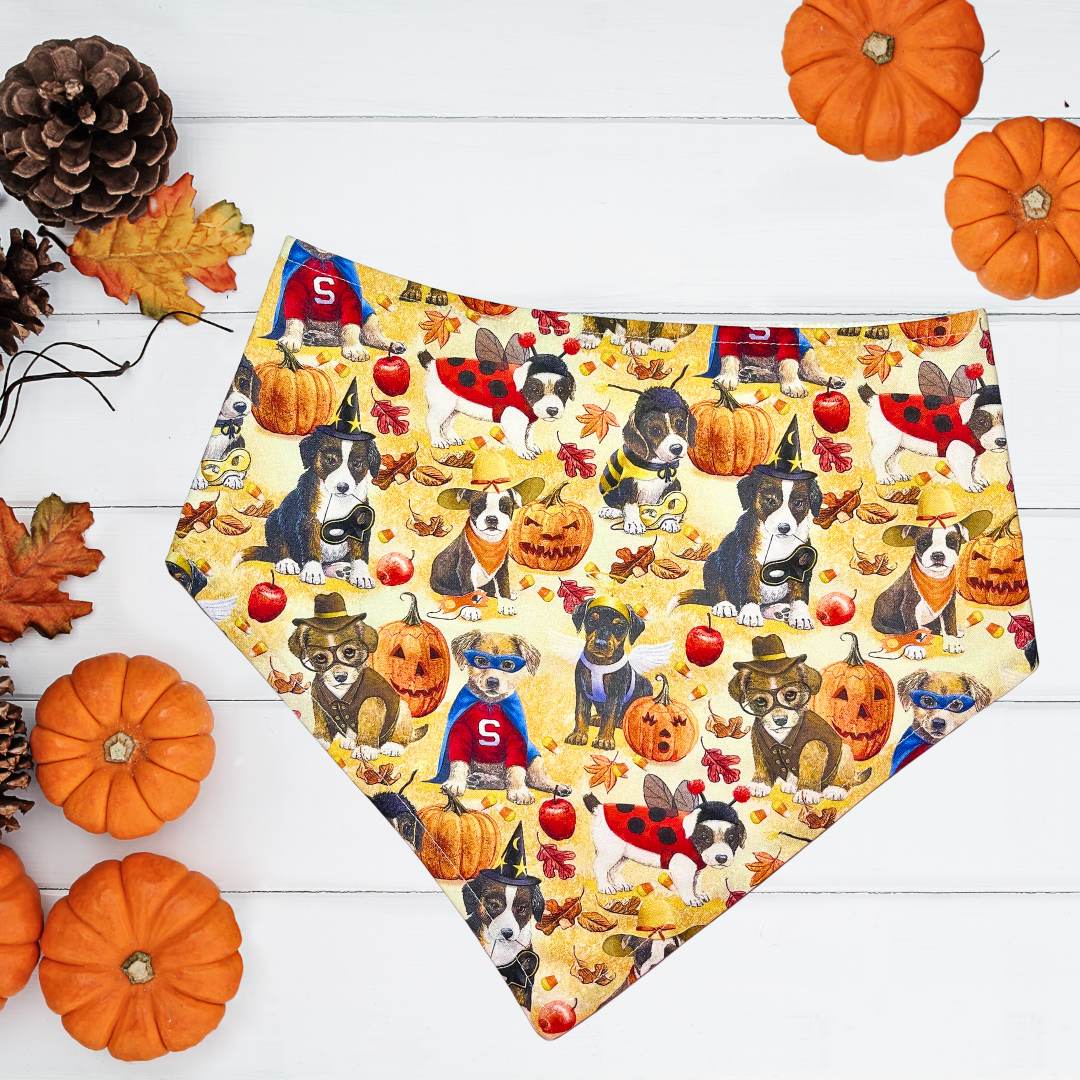 Puppy Costume Party Bandana