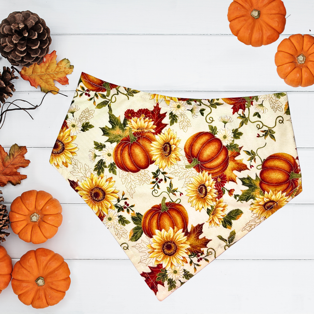 Pumpkins and Sunflowers Bandana