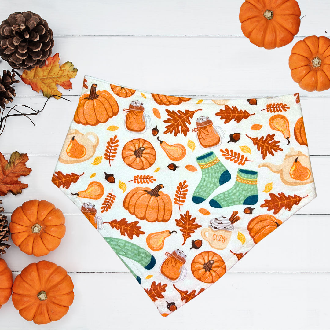 Sweater Weather Bandana