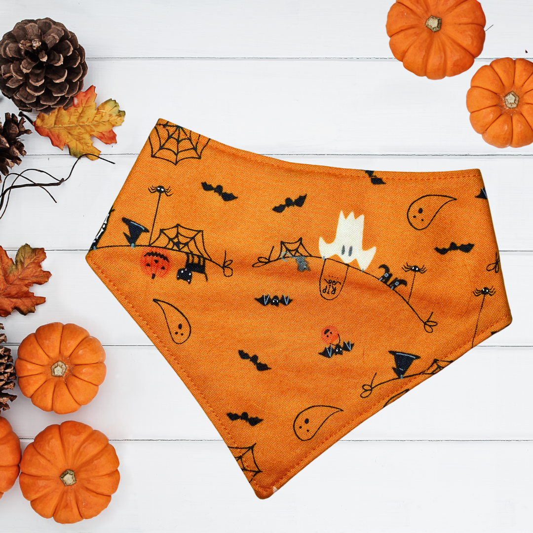 Simple Spooks Bandana