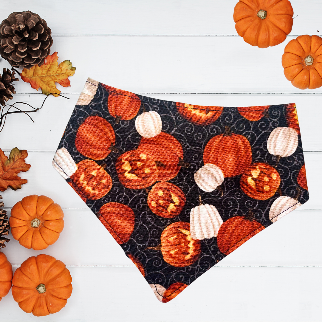 Spooky Pumpkin Patch Bandana