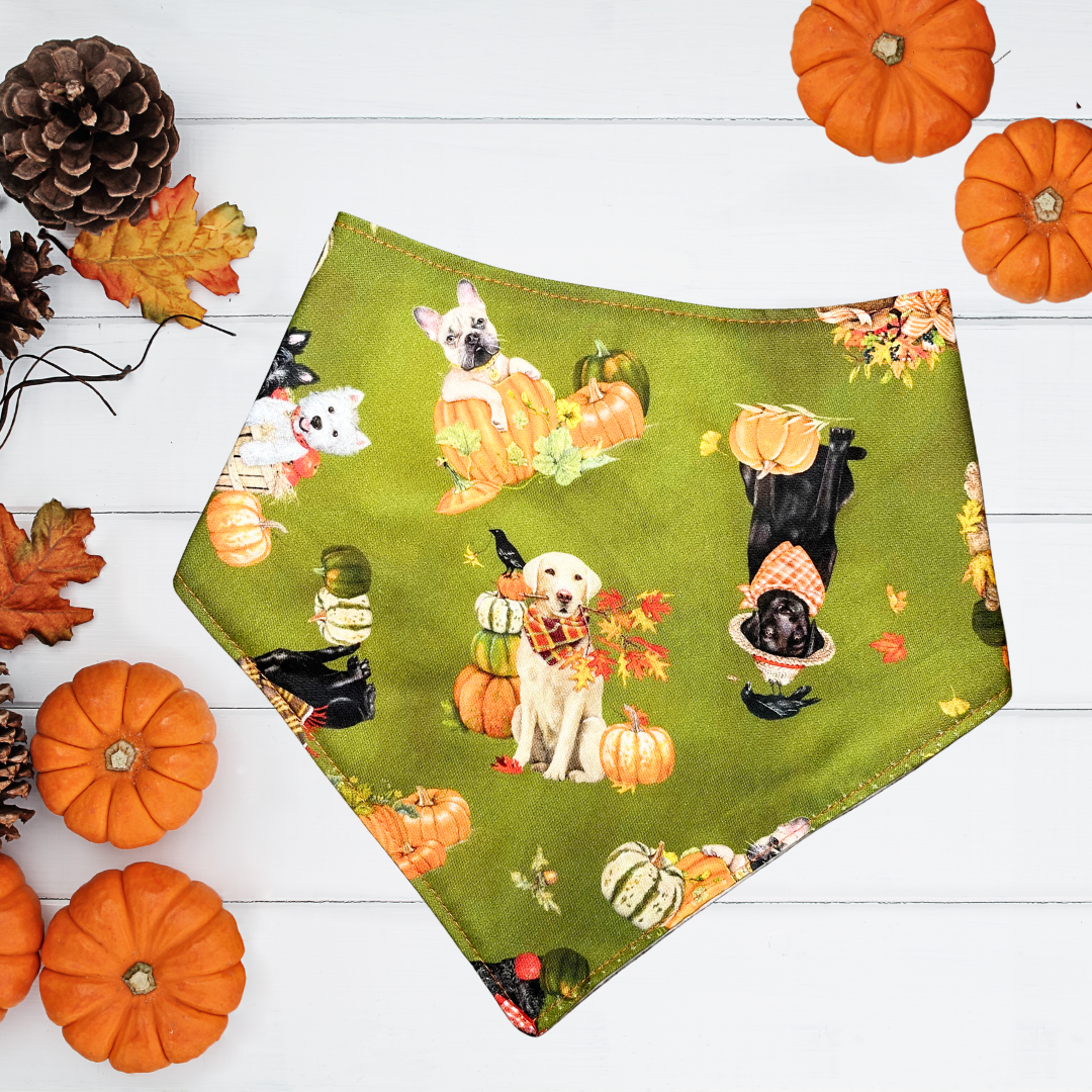 Autumn Vibe Dogs Bandana