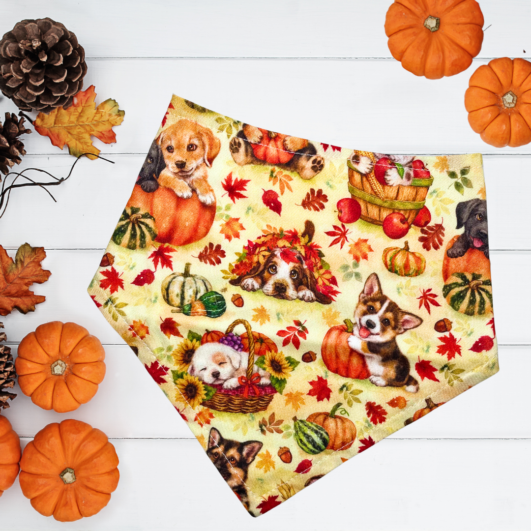 Pumpkin Patch Pups Bandana