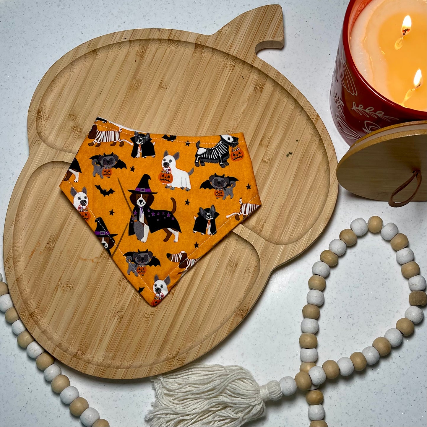 Halloween Party Pups Bandana