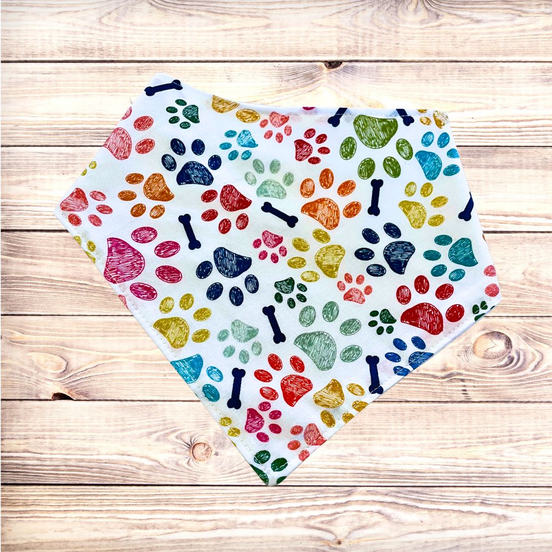 Colorful Paws Bandana