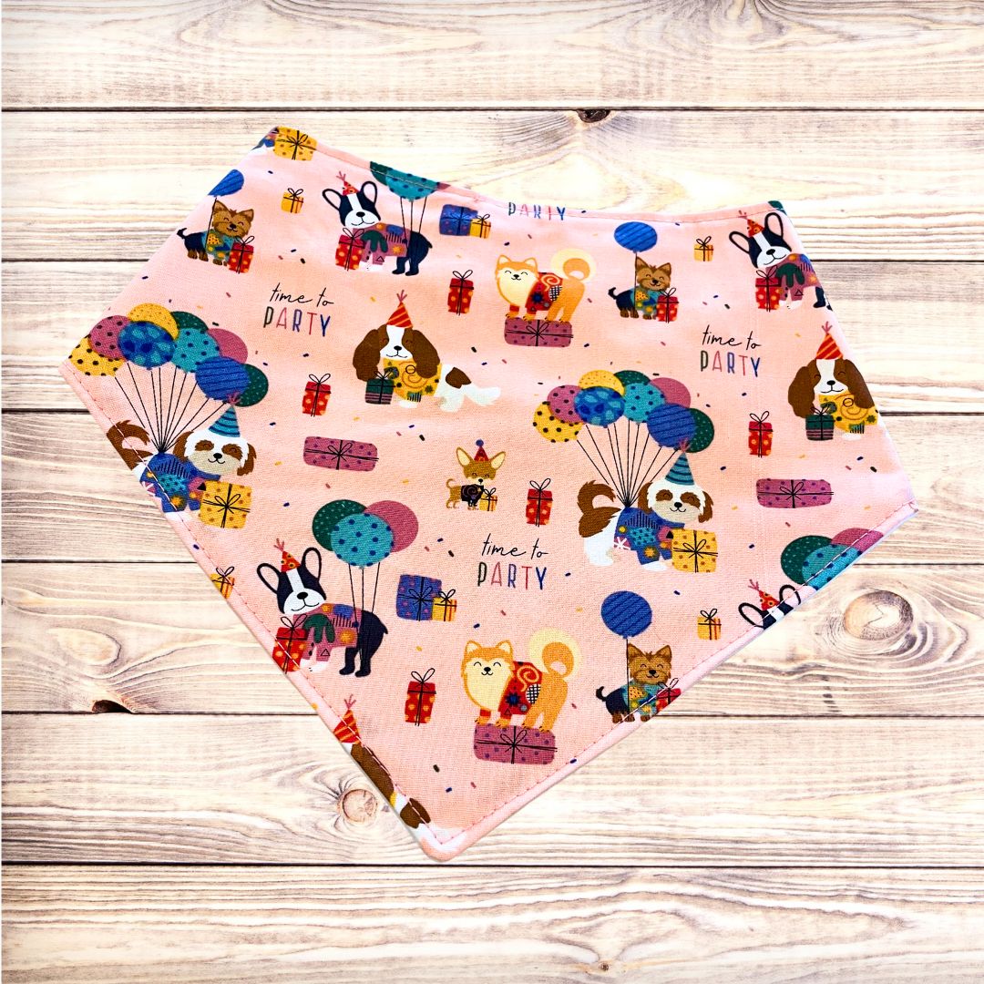 Time to Pawty Bandana