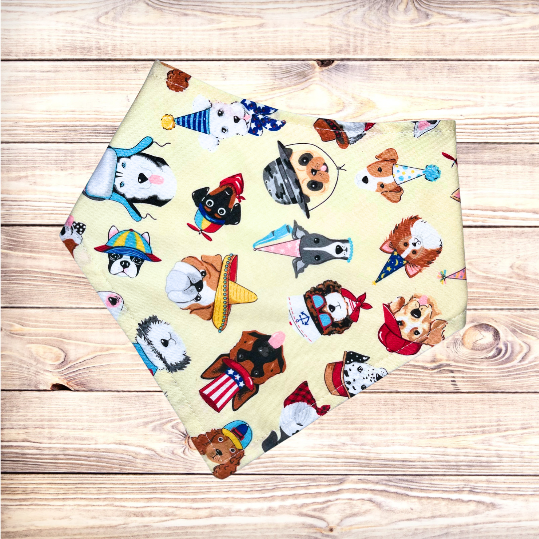 Hat Pawty Bandana