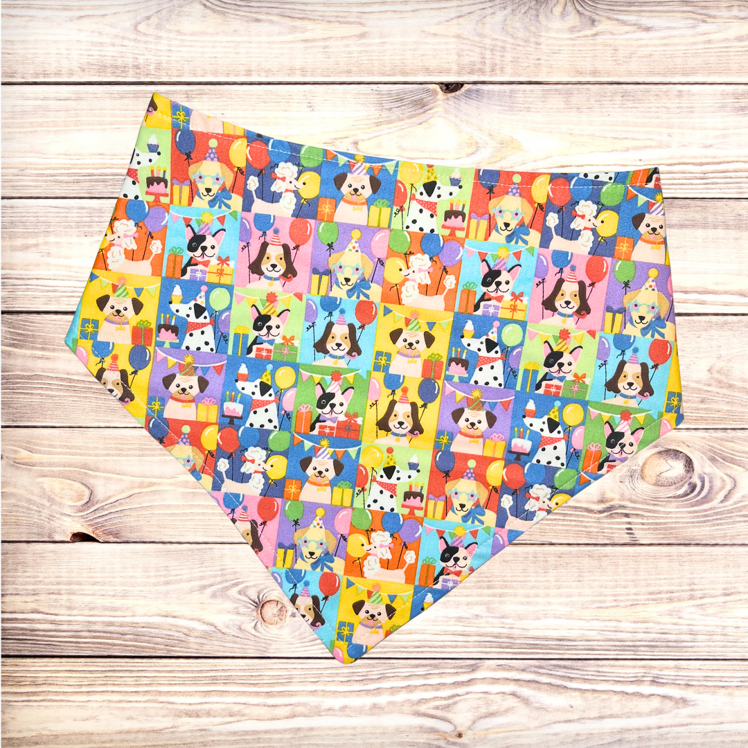 Birthday Celebration Bandana