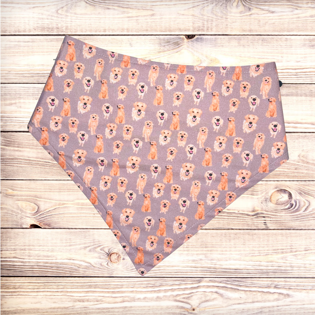 Golden Retriever Bandana