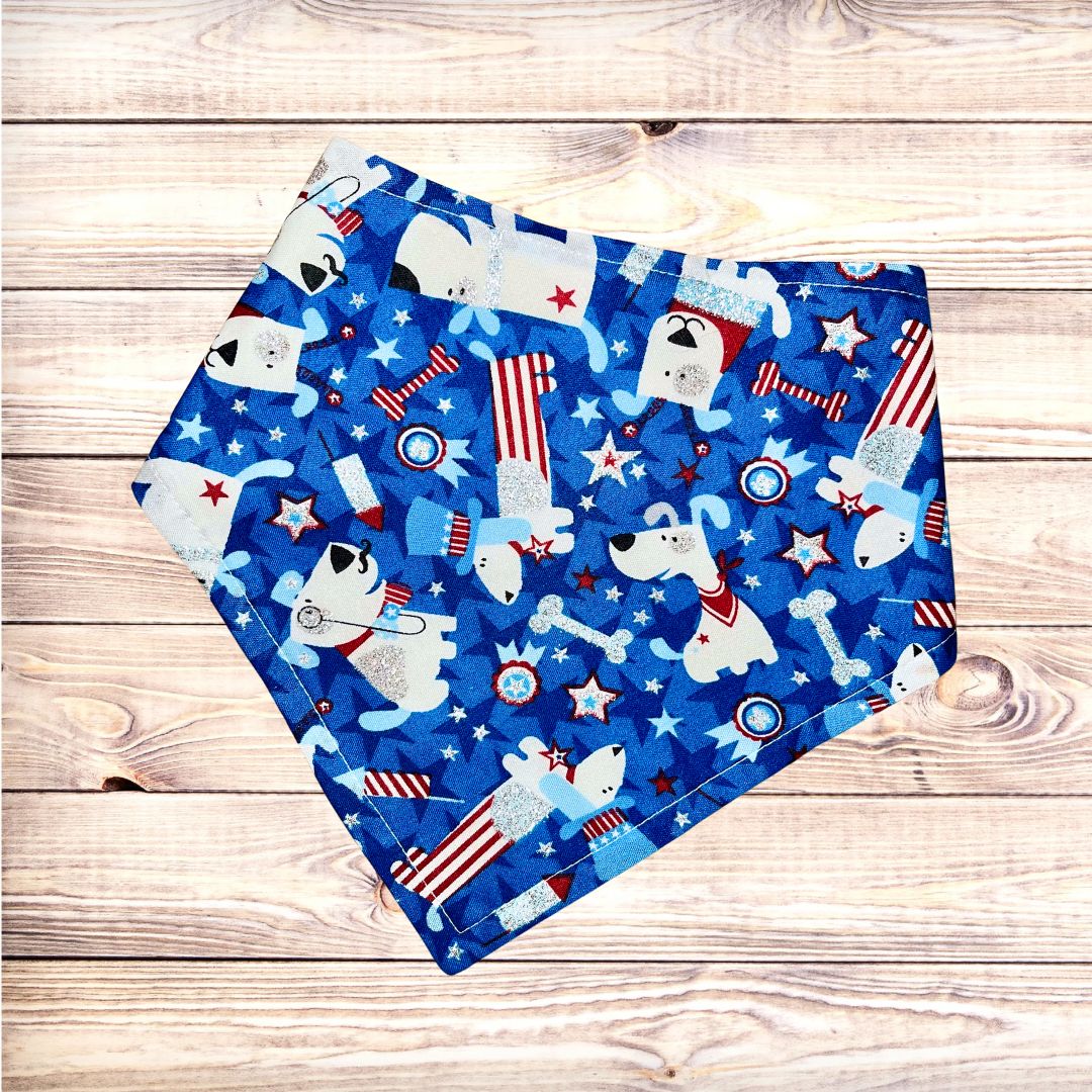 Red, White & Chew - Teal Bandana