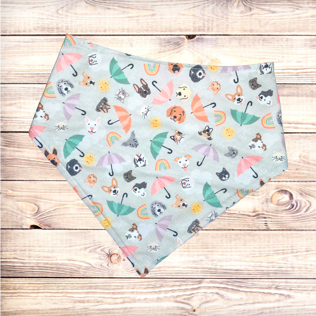 Raining Cats & Dogs Bandana