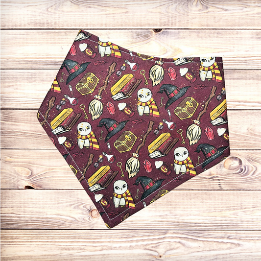 Hairy Pawter and the Sorcerer’s Bone Bandana