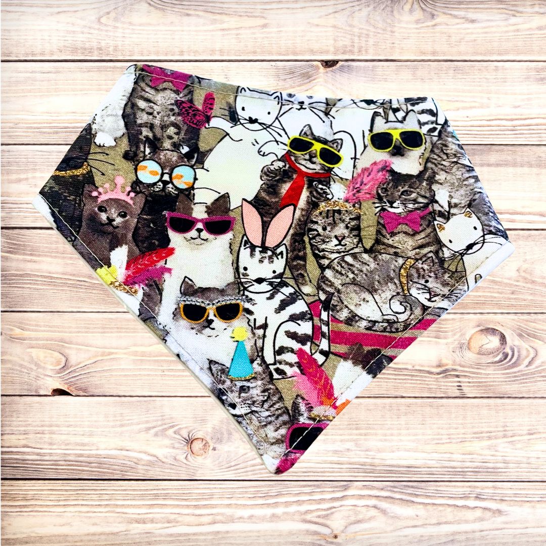 Cool Cats Bandana