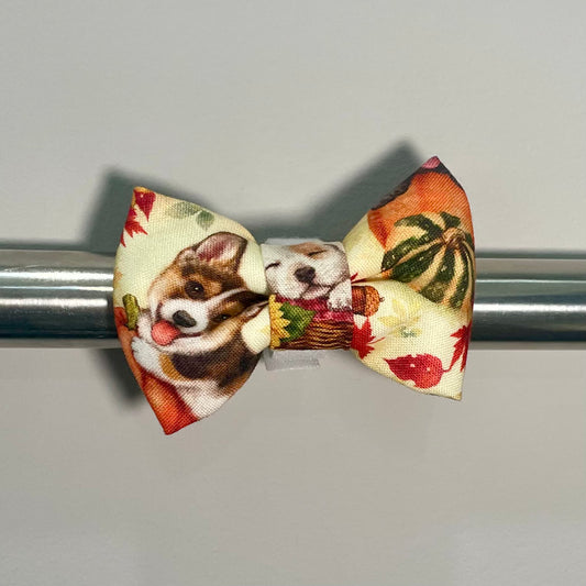 Pumpkin Patch Pups Collar Bow