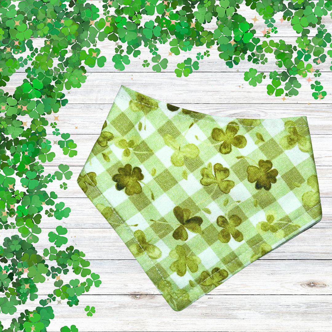 Gingham Shamrocks Bandana