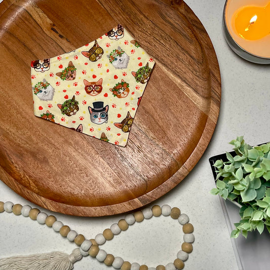 Pretty Kitty Bandana