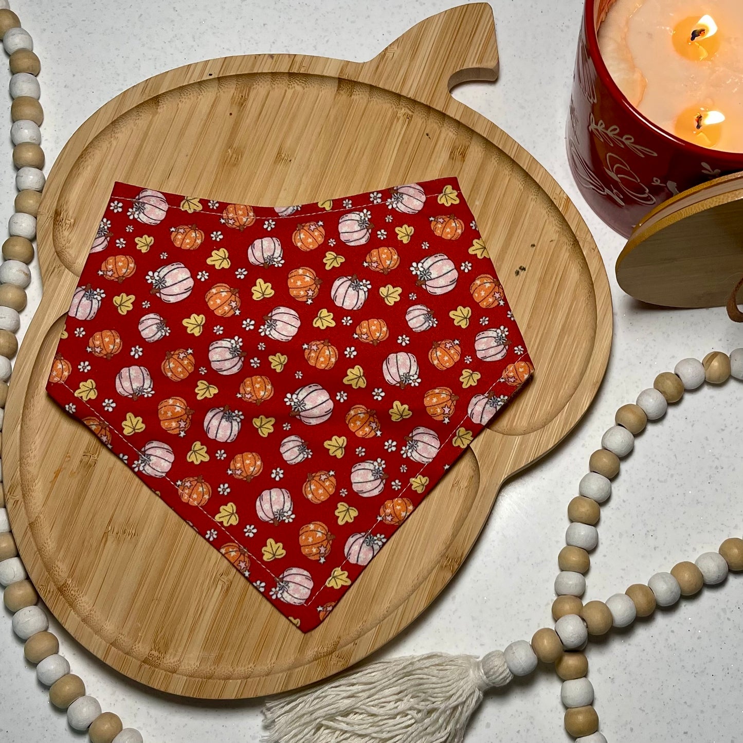 Pretty Pumpkin Bandana