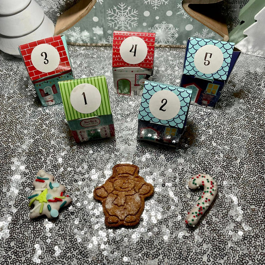 Christmas Advent Cookie Calendar