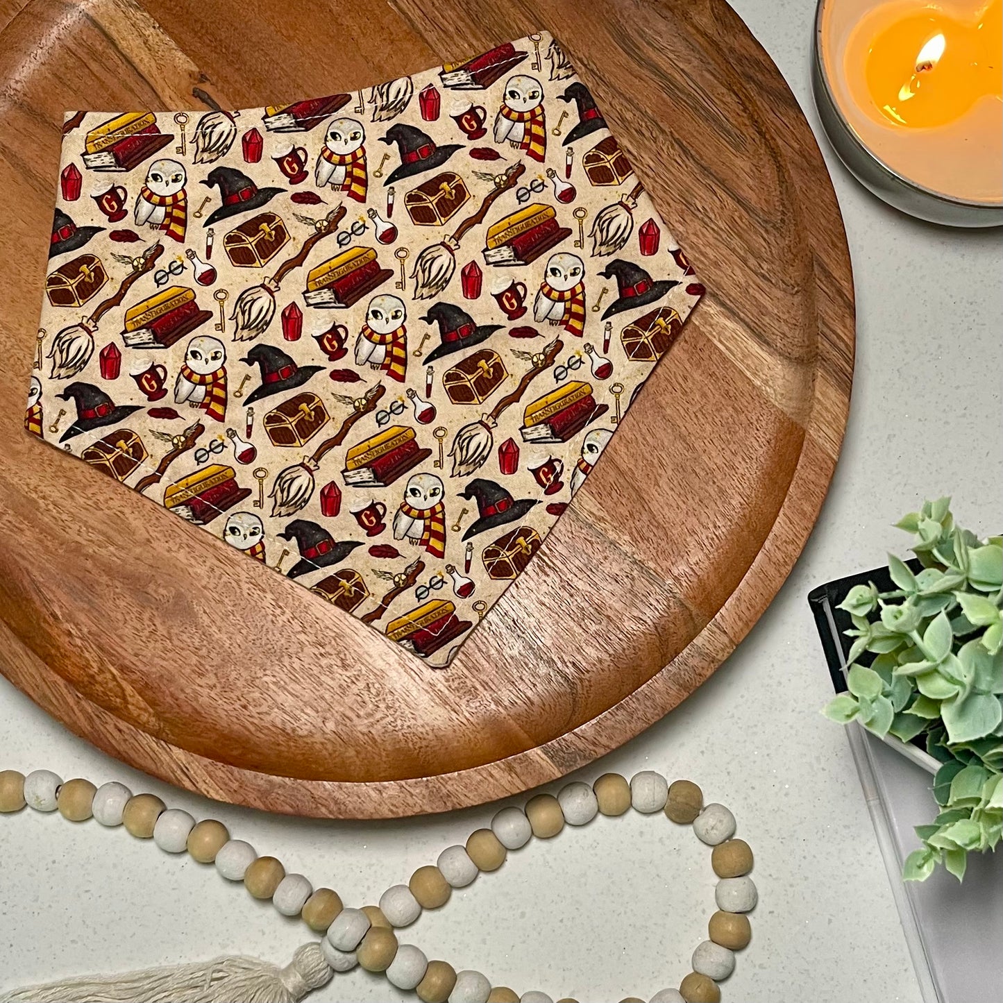 Hairy Pawter and the Sorcerer’s Bone Bandana