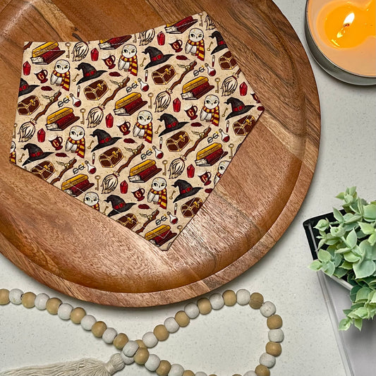 Hairy Pawter and the Sorcerer’s Bone Bandana