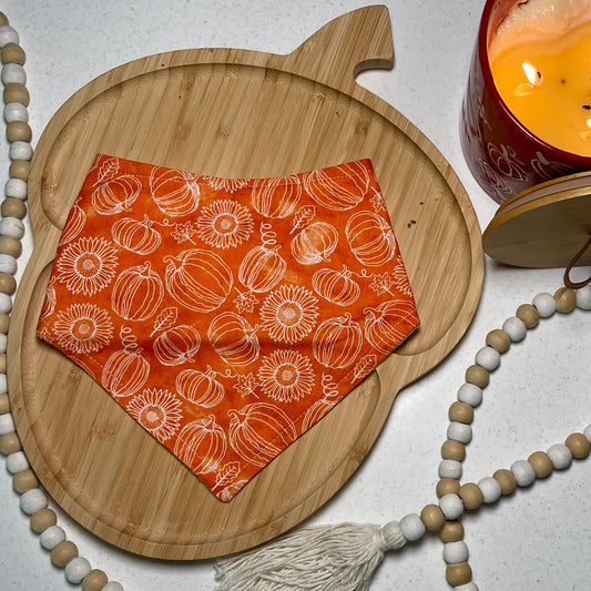 Pumpkin & Sunflower Doodle Bandana