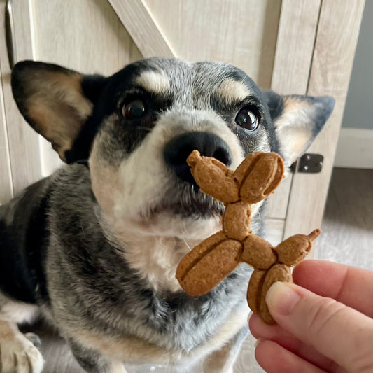 Balloon Dog Birthday Cookie Pack