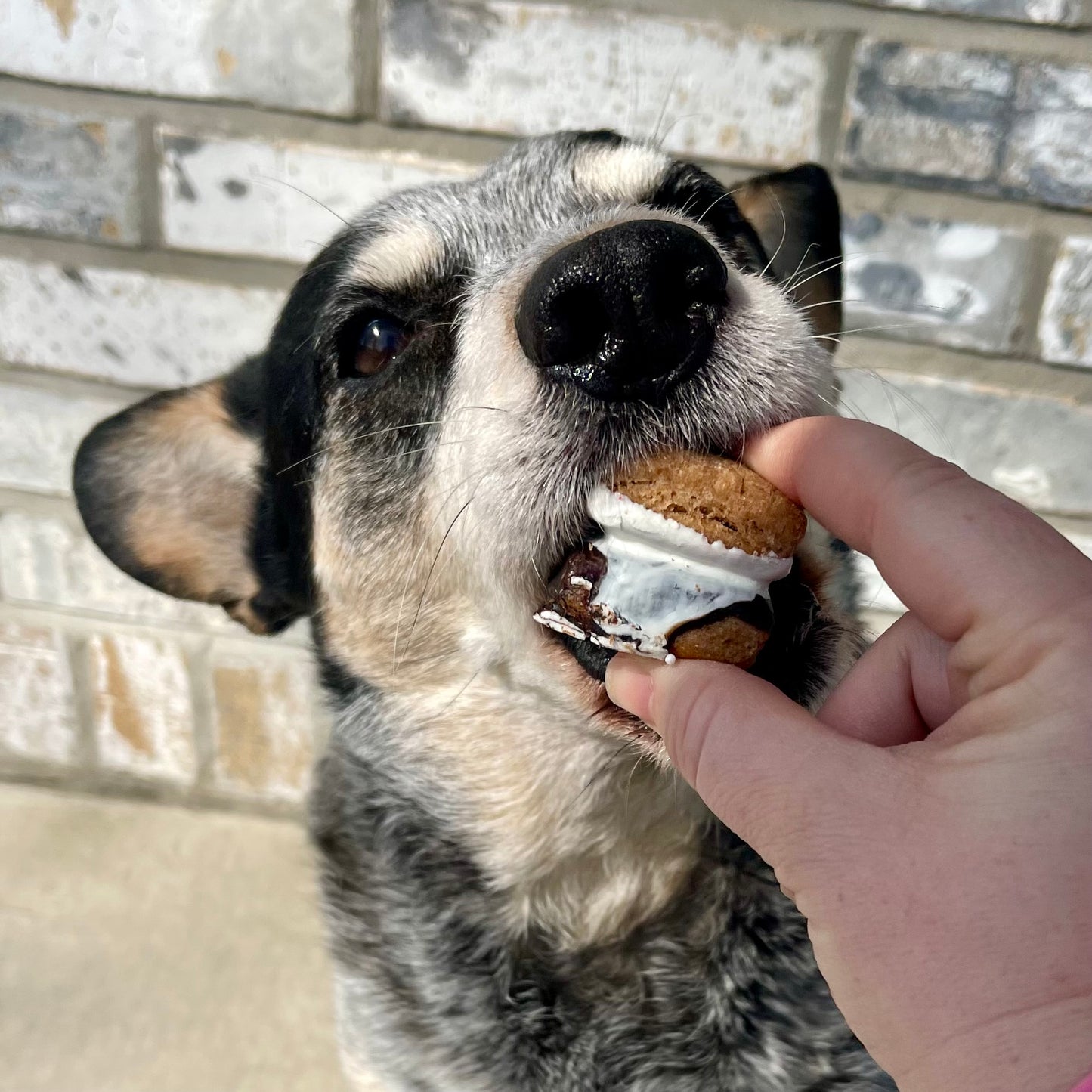 S’mores