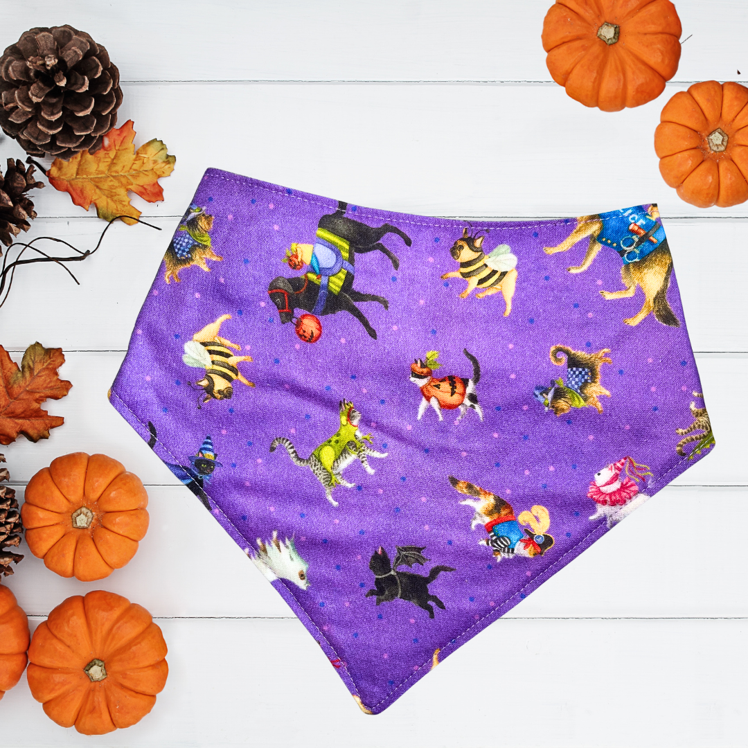 Trick or Treat Pets Bandana