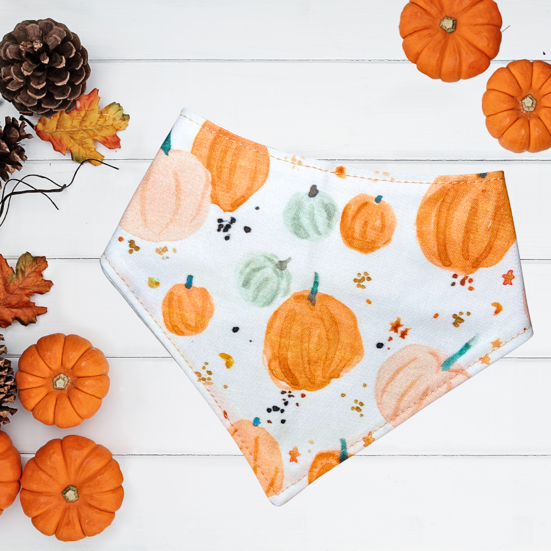 Rustic Pumpkins Bandana