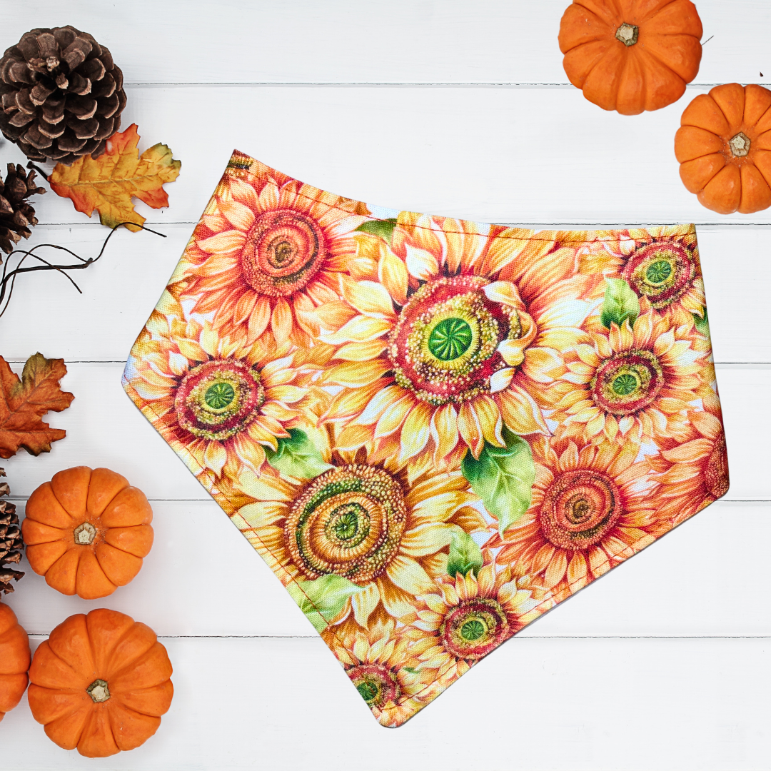 Giant Sunflowers Bandana