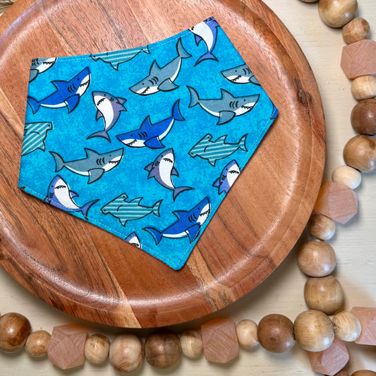 Sharks Bandana