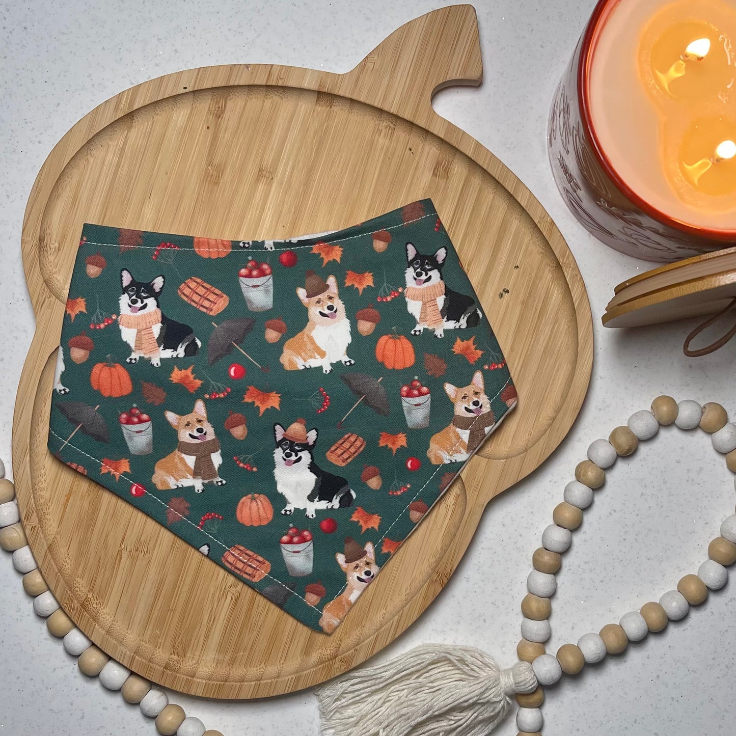 Fall Corgis Bandana