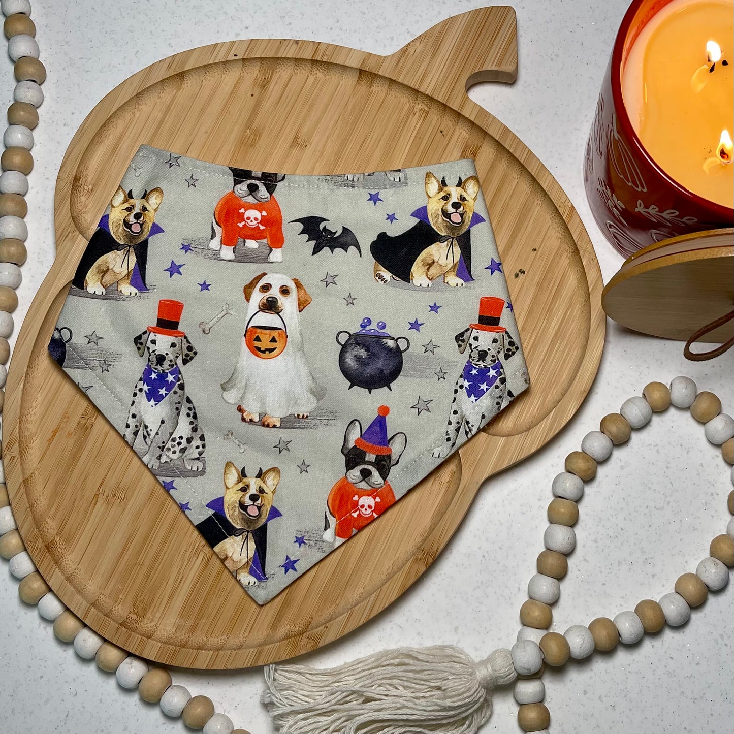 Costume Party Pups Bandana
