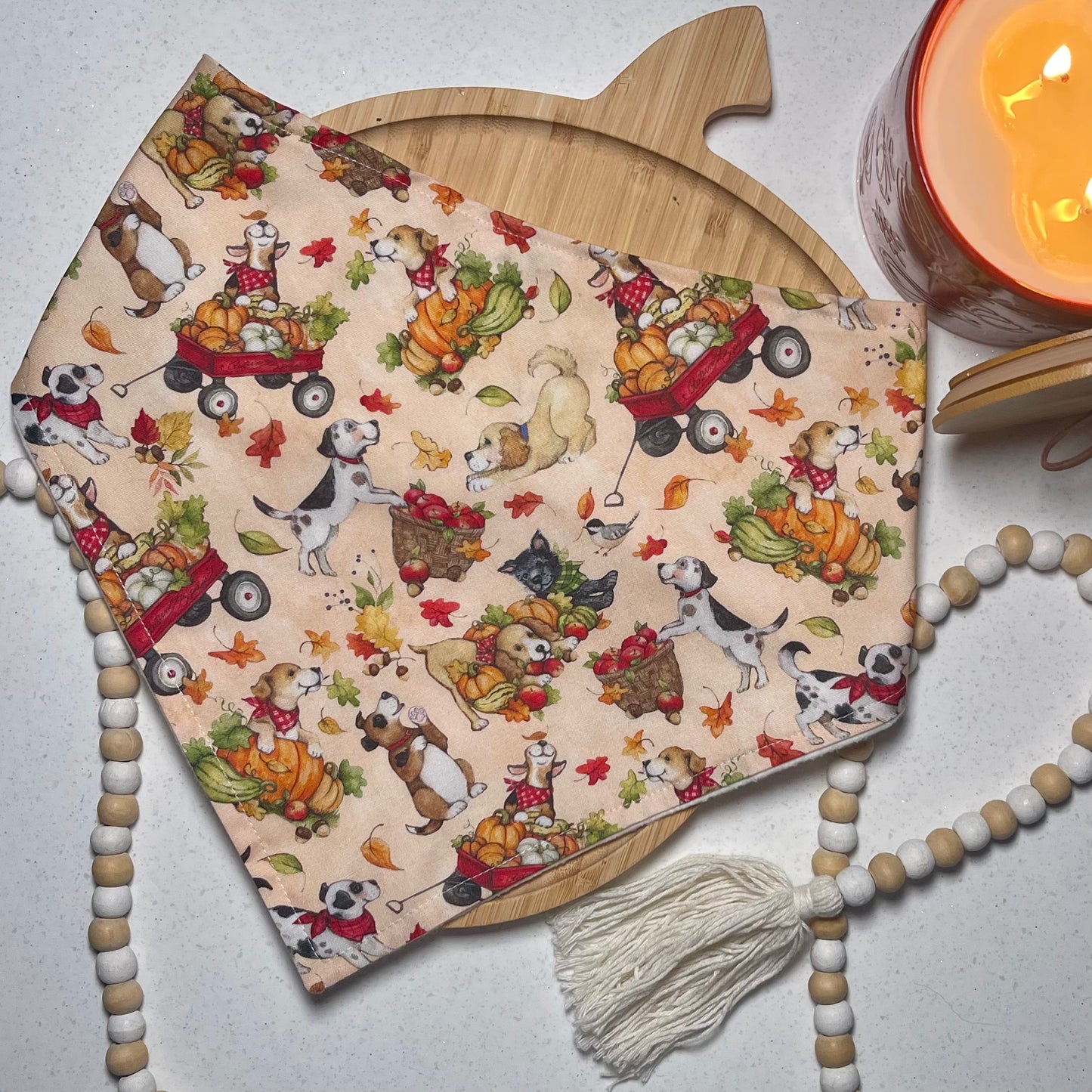 Fall Pups Bandana