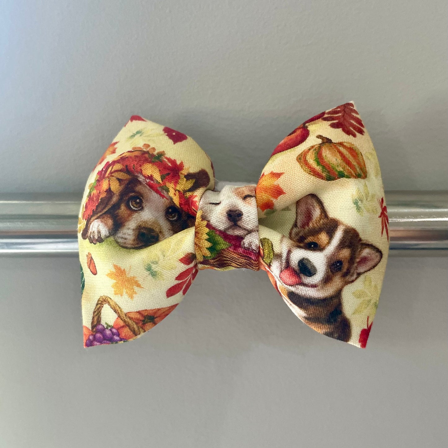 Pumpkin Patch Pups Collar Bow