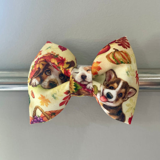 Pumpkin Patch Pups Collar Bow