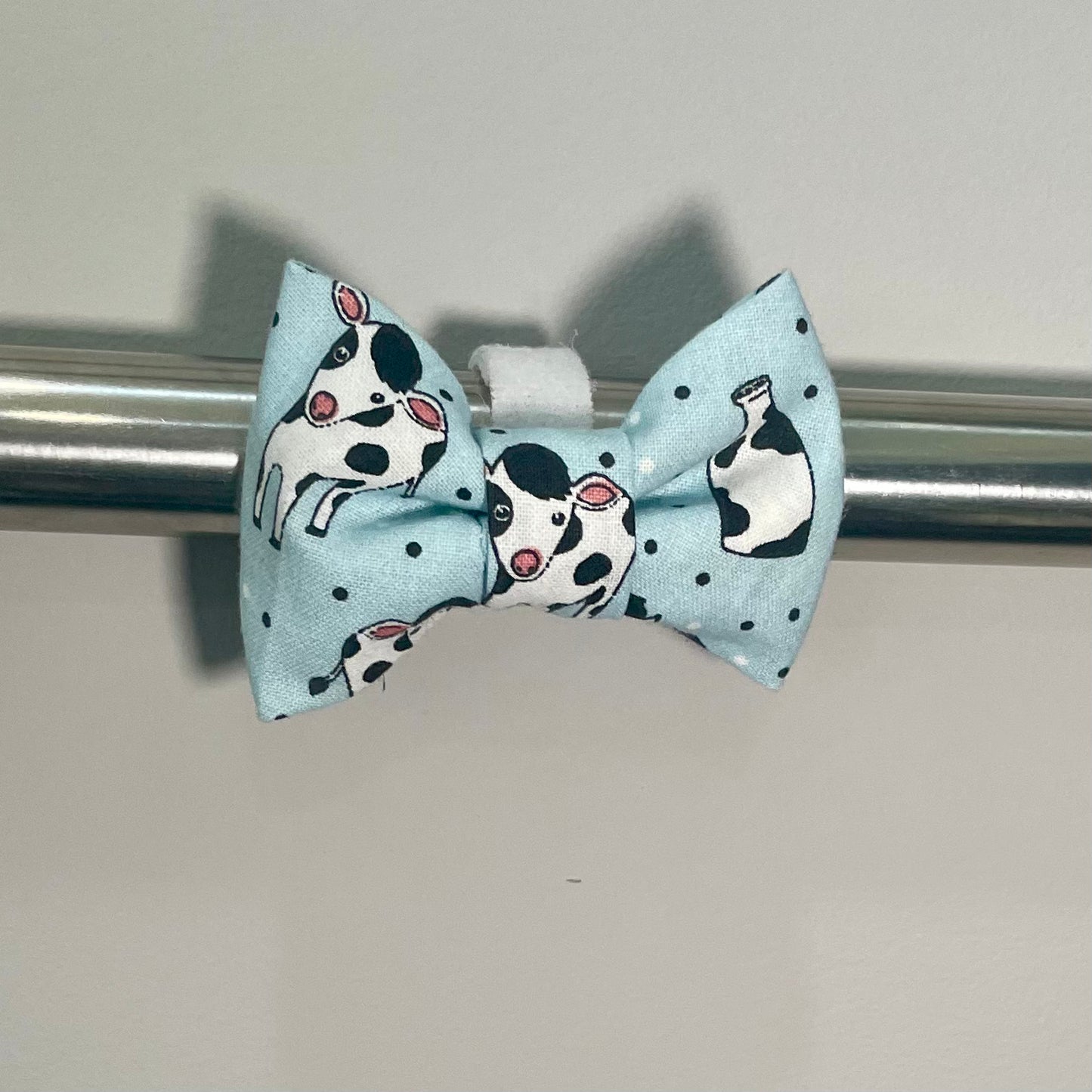 Blue Cows Collar Bow