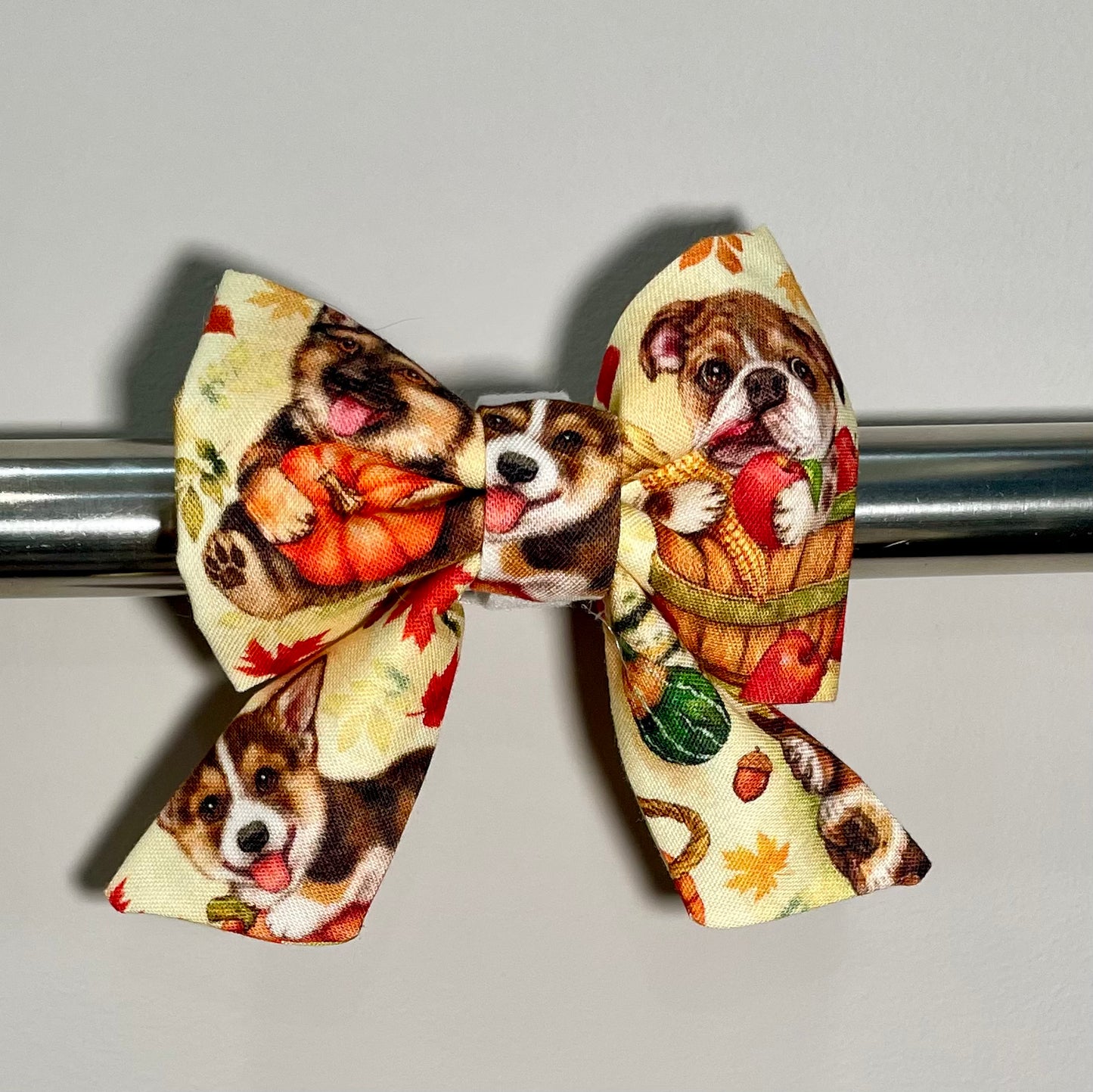 Pumpkin Patch Pups Collar Bow