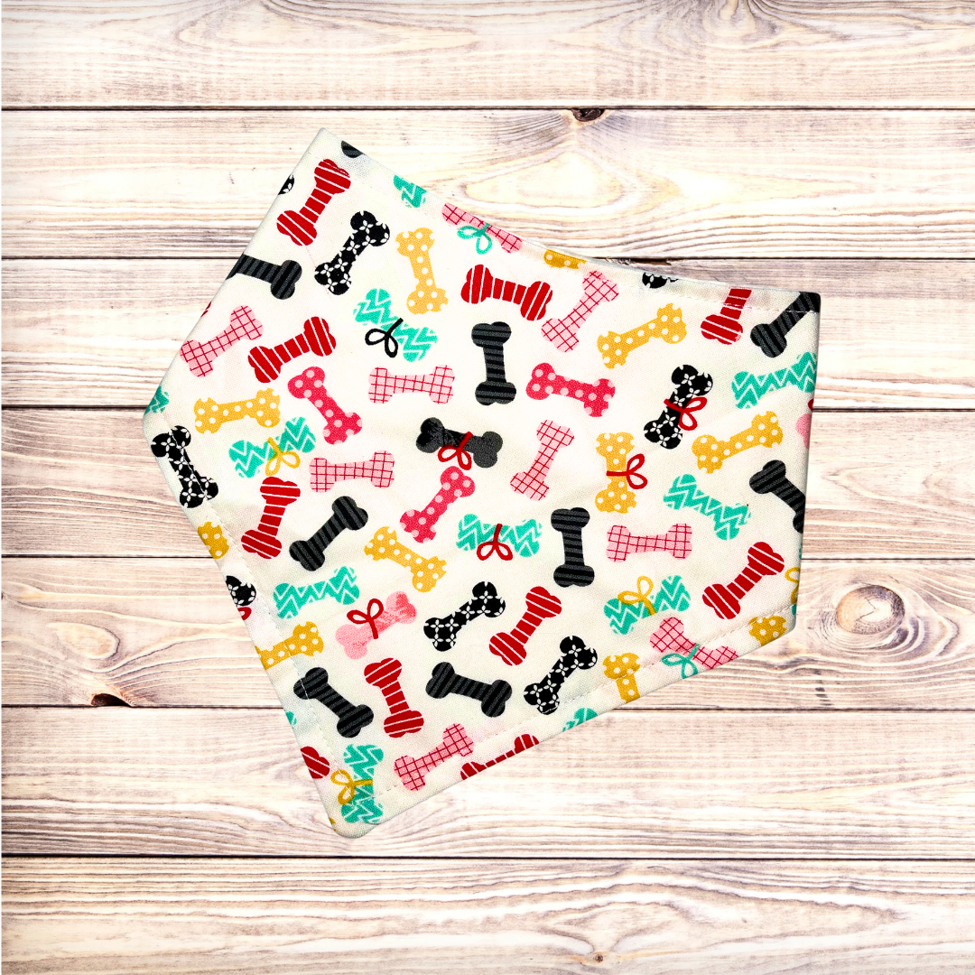 Colorful Bones Bandana