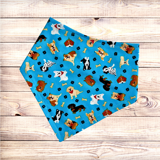 Blue Pups Bandana