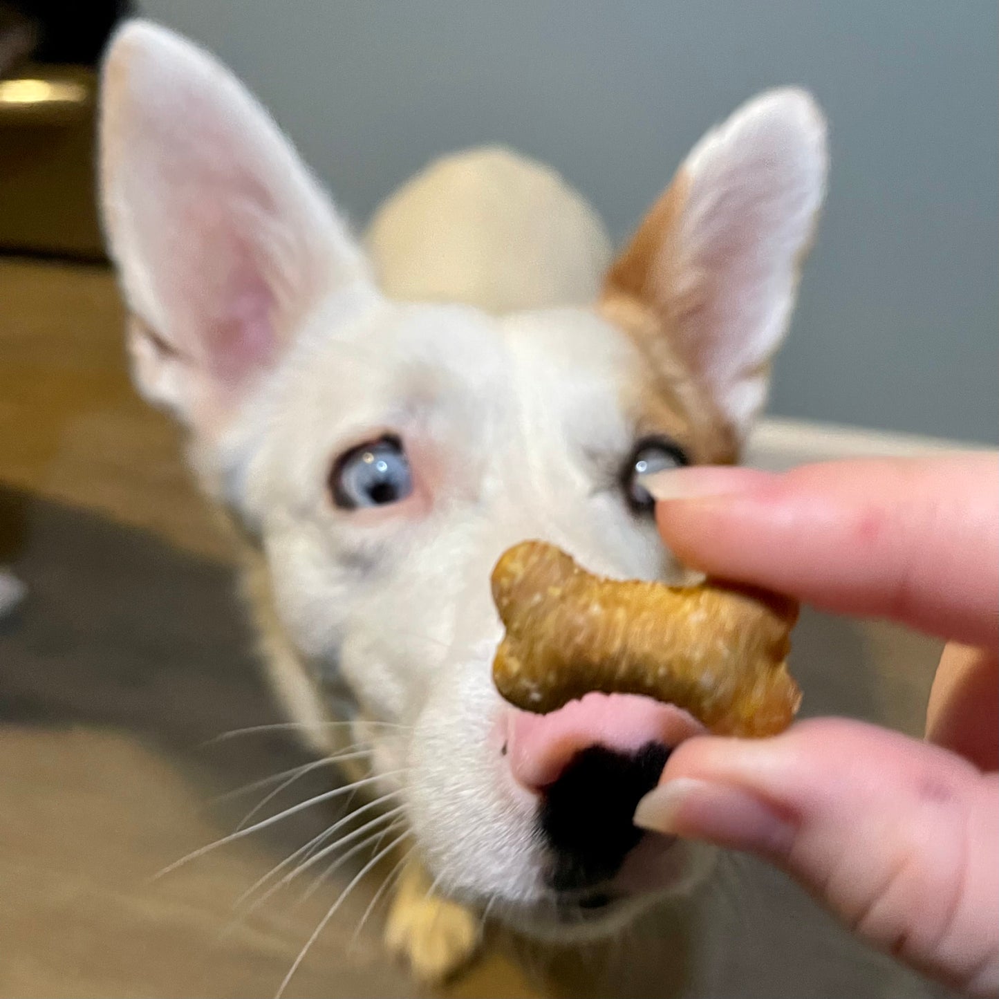 Mini Cookies